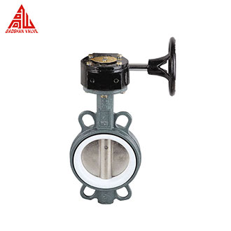 Carbon Steel Butterfly Valve