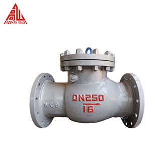 DIN Check Valve