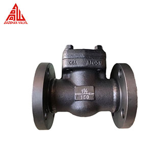 Forged Steel Check Valve