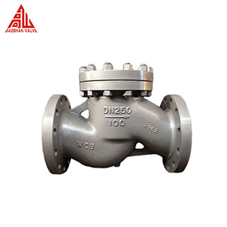 Lift Check Valve