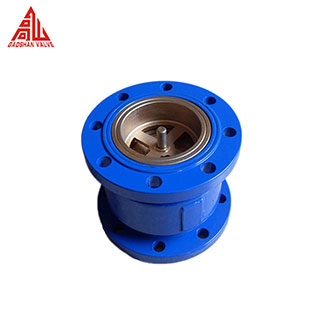 Silent Check Valve