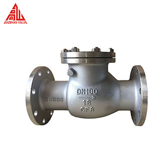 Stainless Steel Check Valve