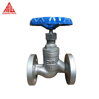 Cast iron globe valve