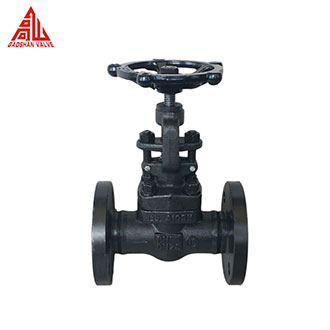 Forged Steel Globe Valve