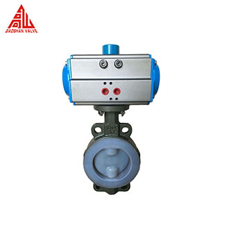 Butterfly Valve