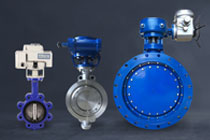 Butterfly Valve