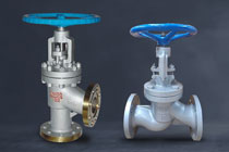 Globe Valve